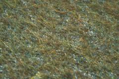 Pair of Moss Green Upholstered Armchairs Europe 20th century - 3931790