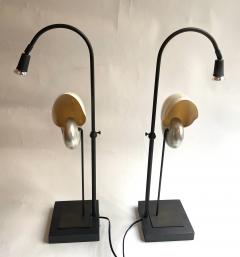Pair of Nautilus Shell Table Lamps - 2090229