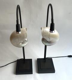 Pair of Nautilus Shell Table Lamps - 2090230