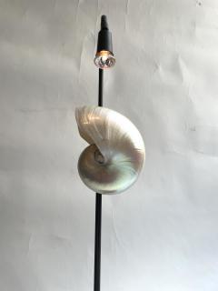 Pair of Nautilus Shell Table Lamps - 2090233