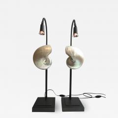 Pair of Nautilus Shell Table Lamps - 2091514