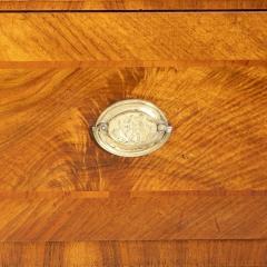 Pair of Neoclassical Chests - 1406719