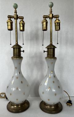 Pair of Opaline Glass Fleur De Lis Table Lamps - 3382260