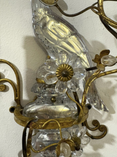 Pair of Parrot Wall lights Maison Bagu s 2 pairs available - 4147586