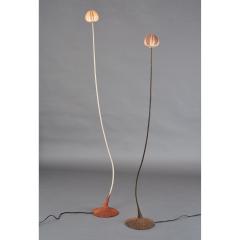 Pair of Poetic Sea Urchin Floor Lamps by Nicolas Cesbron 2019 - 1342328