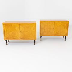 Pair of Scandinavian Mid Century Two Door Low Cabinets - 2002512