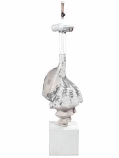 Pair of Shell Lamps - 1548135