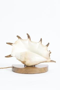 Pair of Shell Lamps - 3973460