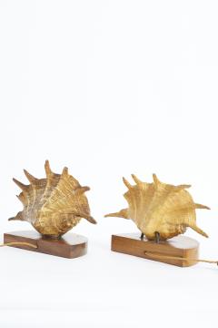 Pair of Shell Lamps - 3973462