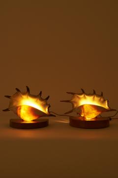 Pair of Shell Lamps - 3973464