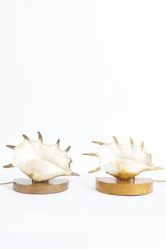 Pair of Shell Lamps - 3973465