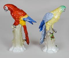 Pair of Sitzendorf Porcelain Parrots - 780632