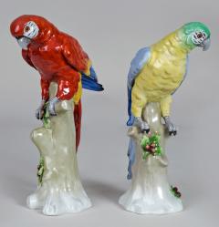 Pair of Sitzendorf Porcelain Parrots - 780634