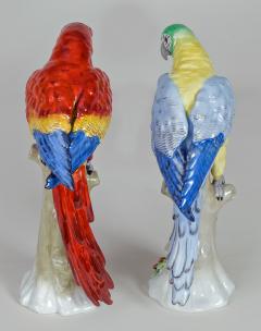 Pair of Sitzendorf Porcelain Parrots - 780636