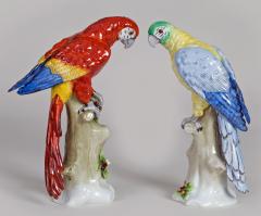 Pair of Sitzendorf Porcelain Parrots - 780638