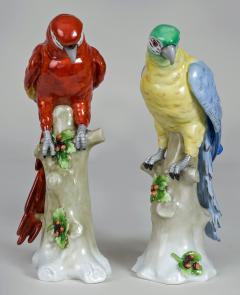 Pair of Sitzendorf Porcelain Parrots - 780639