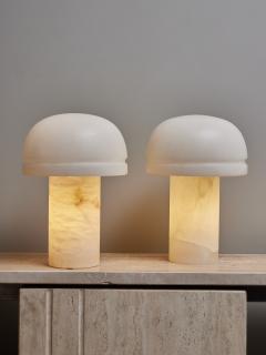 Pair of Small Alabaster Table Lamps - 3356004