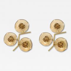 Pair of Smoked Murano Flower Floral Glass and Brass Sconces Italy - 4441344