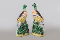 Pair of Staffordshire Exotic Birds - 821577