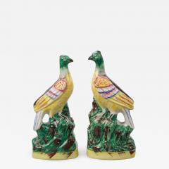 Pair of Staffordshire Exotic Birds - 843747