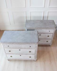 Pair of Swedish 19th Century Gustavian Style Chests of Drawers - 4571709