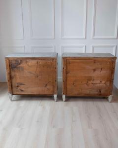 Pair of Swedish 19th Century Gustavian Style Chests of Drawers - 4571788