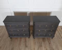 Pair of Swedish chests circa 1880 - 4223386