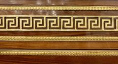 Pair of Tortoise Louis XVI Style Commodes Chests or Nightstands Greek Key - 2918260