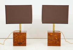 Pair of Tortoise Shell Style Bronze Lamps with Brown and Gold Shades Italy - 1607465