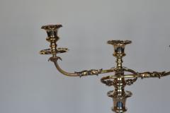 Pair of Twisted Silver Candelabras - 2586904