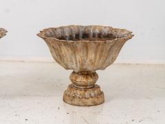 Pair of Verdigris Painted Iron Tazzas or Urns English late 20th Century - 3345230