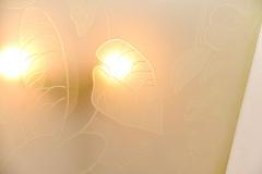 Pair of large Art Deco etched glass lights - 1305894