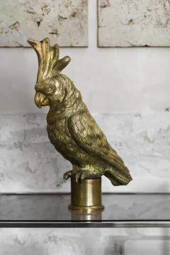 Pair of large embossed brass parrots handcrafted Molto Editions - 3662421