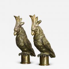 Pair of large embossed brass parrots handcrafted Molto Editions - 3667511