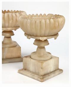 Pair19th Century Carved Alabaster Tazzas - 4132621