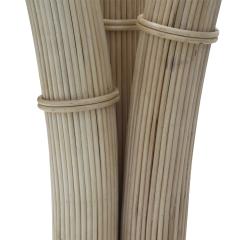 Palm Tree Rattan Floor Lamp - 2958806