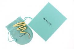 Paloma Picasso Paloma Picasso for Tiffany Co Diamond Squiggle Pin - 4277573