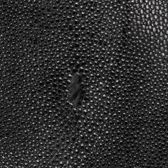 Patrick Coard Modern Abstract Sculpture in Black Shagreen by Patrick Coard Paris - 4208111