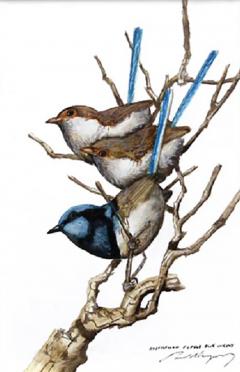 Paul Margocsy Every Now And A Wren - 3888757