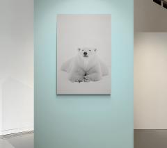 Paul Nicklen ARCTIC NOMAD 5 30  - 4127011