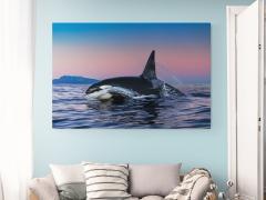 Paul Nicklen DAWN PATROL 5 10  - 4220788