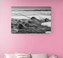 Paul Nicklen IVORY BRIGADE 15  - 4129238