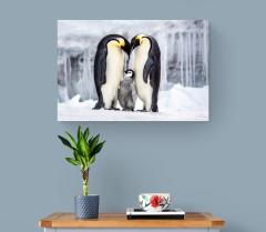 Paul Nicklen PARENTHOOD 20  - 4129236