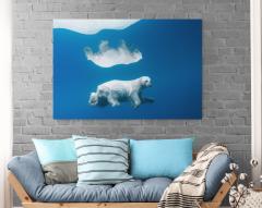 Paul Nicklen POLAR REFLECTIONS 15  - 4220764