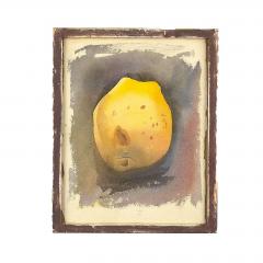 Pear Watercolor by Tony Stubbing U S A  - 4205453