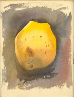 Pear Watercolor by Tony Stubbing U S A  - 4205454
