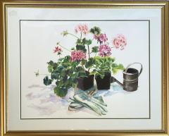 Peggy Dressel Geraniums  - 3712886