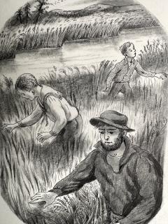 Peggy Margaret Frances Bacon Searching in the Tall Grass Book Illustration by Woman Illustrator Americana - 4048715