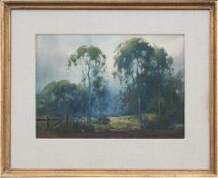 Percy Gray Eucalyptus Trees Along the Wooden Fence - 3248380