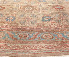 Persian Bakshaish - 2447144